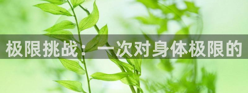 3377体育官网