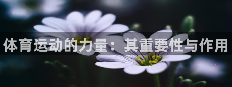 3377体育平台