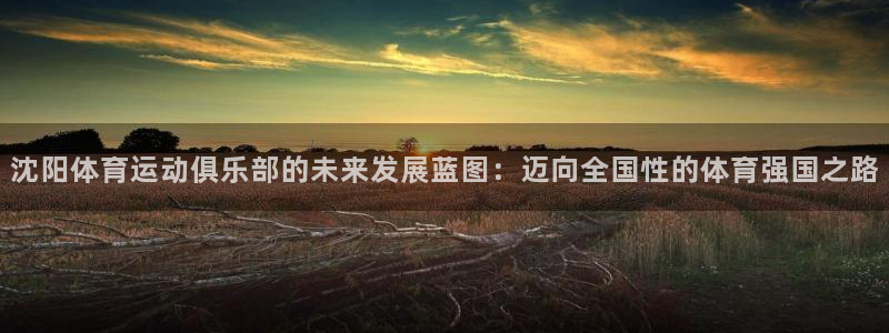 3377体育官网入口网页版