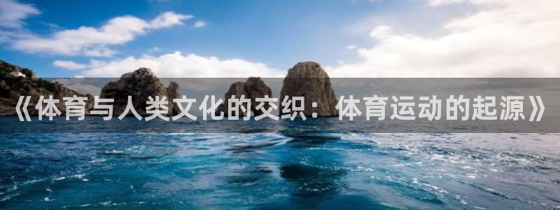3377体育全网