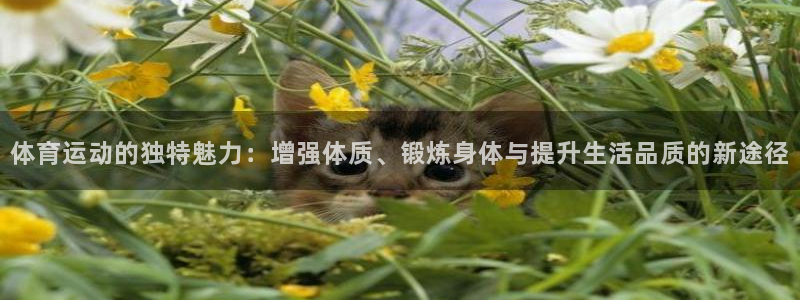 3377体育(中国)官方网站