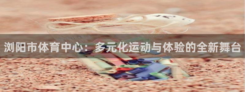 3377体育