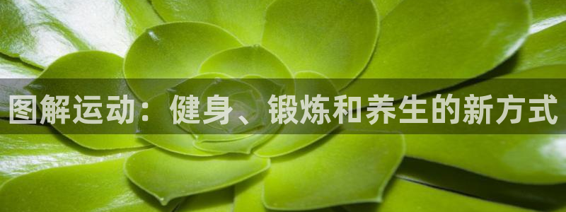 3377体育官网